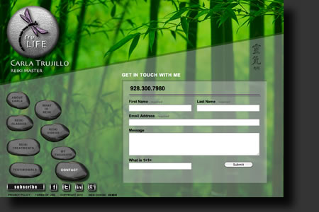 Tru-Life website design - web image 5 - by Sedona AZ Website Design Company IIIXIII